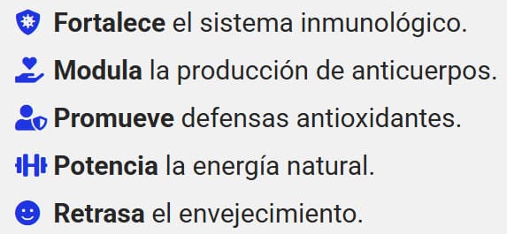 Items-Beneficios-CTA-1-b - Mejora Con Inteligencia